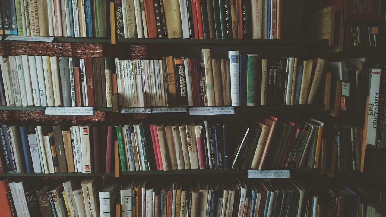 bookcases, books, bookshelves, knowledge, library, literature, novels, read, reading, bookworm, library, library, library, library, library